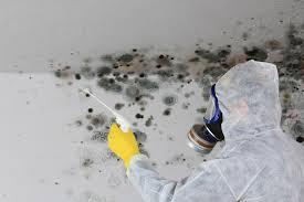 Best Real Estate Mold Inspection  in Fairfax, IA